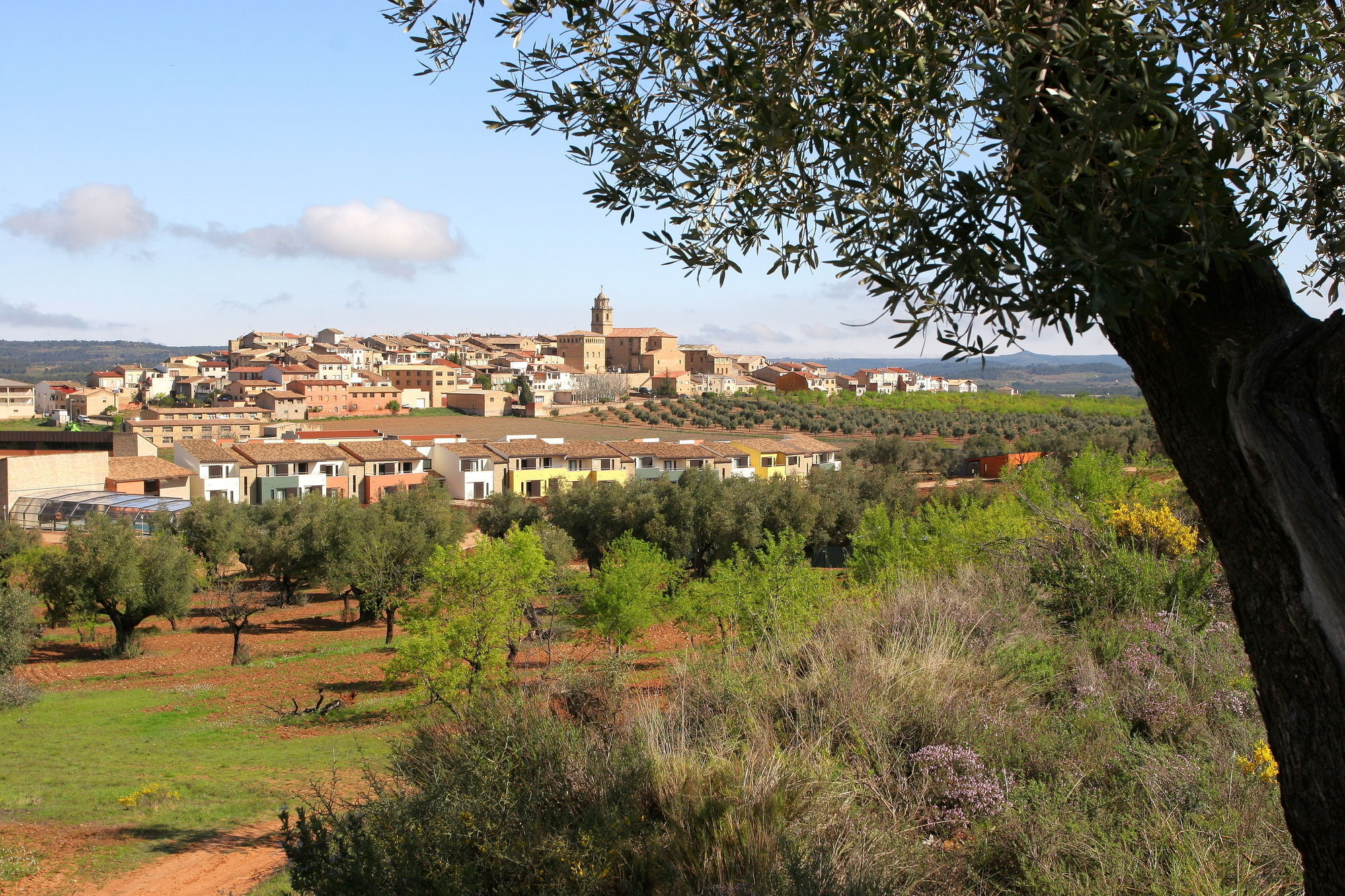 Hotel & Resort Vilar Rural D'Arnes By Serhs Hotels Sant Carlos de la Ràpita Exterior foto